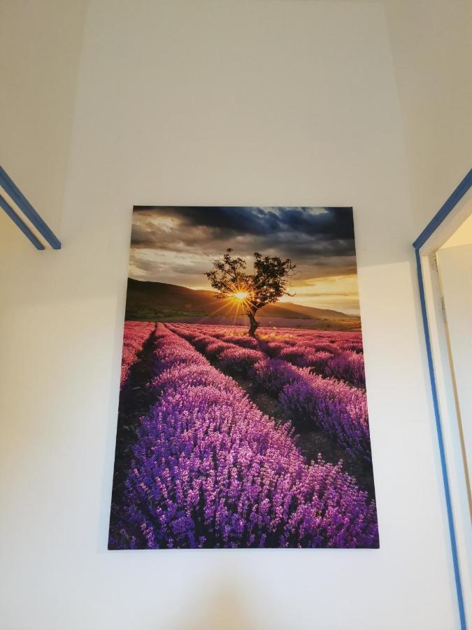 Mas De Ferigoulet -"La Rose Des Vents"& Univers Enfants "Lou Pitchoun" Orgon ภายนอก รูปภาพ